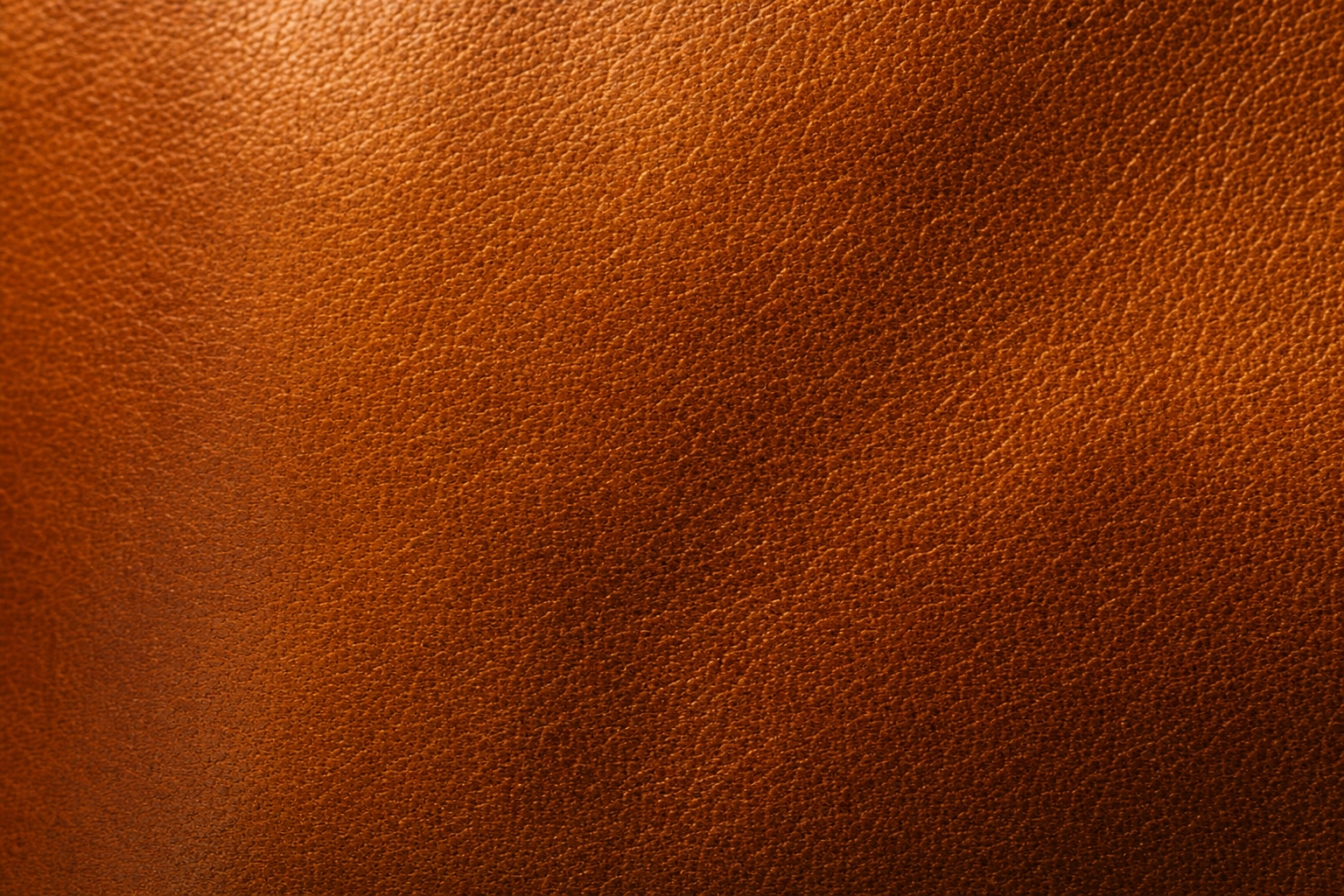 Cognac saddle leather macro