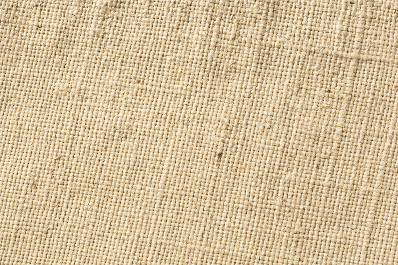 Oatmeal Belgian linen macro