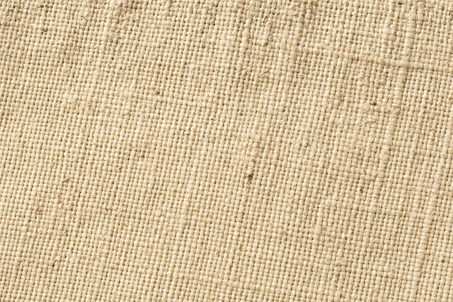 Oatmeal Belgian linen macro